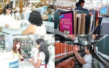 Bibliotecário: profissional que organiza informação